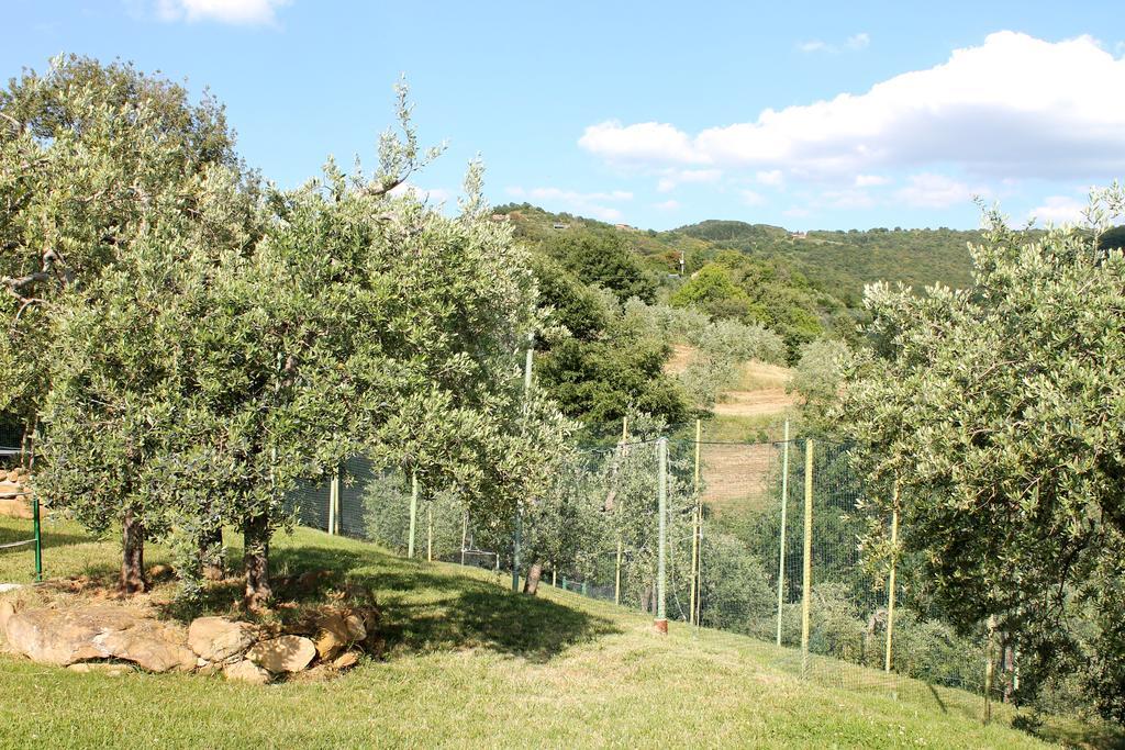 Agriturismo Malagronda Ravigliano Bagian luar foto