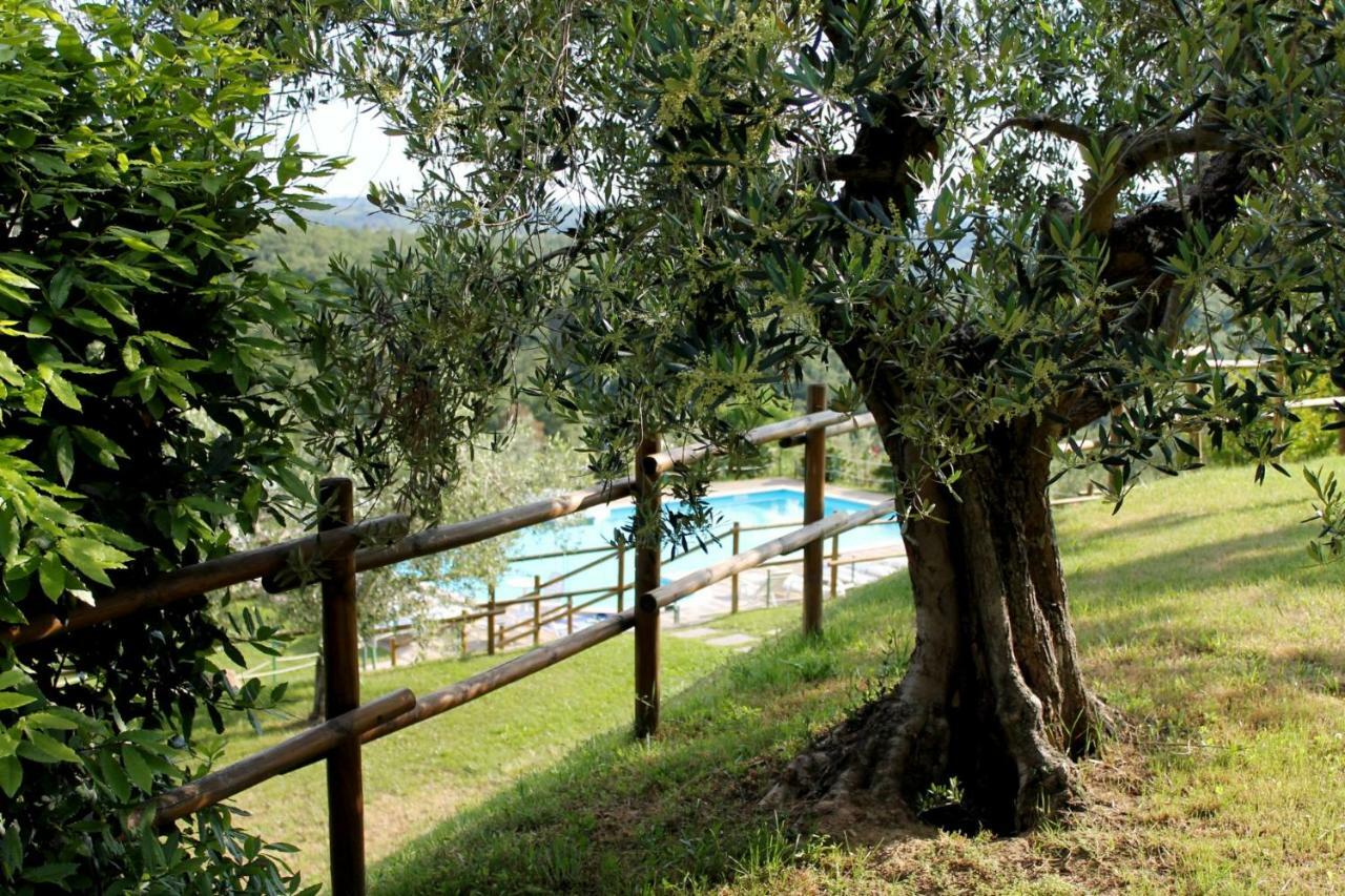 Agriturismo Malagronda Ravigliano Bagian luar foto